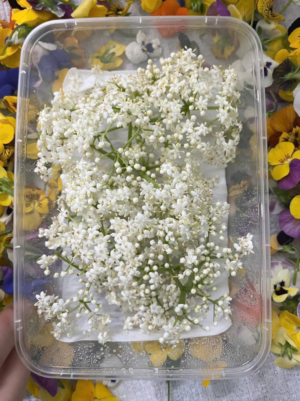 Chi tiết sản phẩm